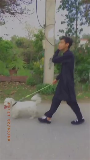 ✨𝐒𝐡𝐚𝐡𝐍𝐚𝐰𝐚𝐳.𝐤𝐡𝐚𝐧✨ (@shani_boy14)’s videos with original sound - ✨𝐒𝐡𝐚𝐡𝐍𝐚𝐰𝐚𝐳.𝐤𝐡𝐚𝐧✨