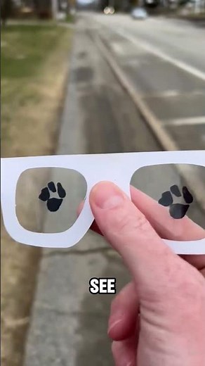 Different Types Of Blindness
