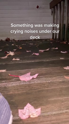 #creepy #scary #viral
