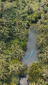 Siargao from above 🌊✨ From every angle, Siargao reveals its full splendor, where pristine coastlines, winding mangroves, and rolling waves create a mesmerizing landscape. The island’s diverse scenery, from white-sand beaches to lush greenery, forms a breathtaking contrast that showcases nature’s harmony. Every tide, sandbank, and lagoon reflects the island’s ever-changing beauty, making Siargao a destination that captivates from every perspective! 🌅 #Siargao #NayPalad #DroneViews #IslandPerspe