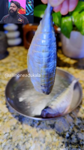 237K views · 7.5K reactions | Fish nu oru Rich look vanno guys...? | All in 1 Adukkala | Facebook