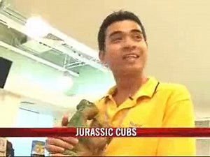 Pleo: The interactive dinosaur cub