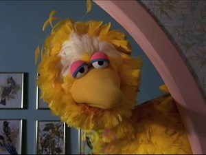 RIP Carroll Spinney, Big Bird & Oscar the Grouch 🙏😢. Here's a clip of Big Bird seeing 20 Minute Workout for the first time 😂❤️ | Retrontario