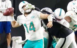 【NFL球星集锦】大胡子魔法！费茨帕特里克效力各队的最佳球！