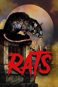 Stream Rats (2003): Find it on Netflix, Prime Video, Hulu & more