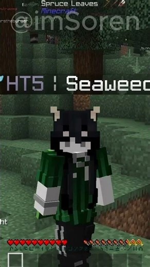 O MELHOR SERVIDOR DE MINECRAFT JAVA?