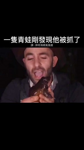 神奇海螺萬萬歲 on Instagram: "🐸 ⬆️追蹤，看更多迷因⬆️ #梗圖 #迷因 #迷因梗圖 #迷因系列 #迷因梗 #迷因工程 #迷因圖 #迷因療法 #迷因事業 #迷因大濕 #迷因天堂 #迷因分享 #梗圖系列 #梗圖翻譯 #梗圖萬歲 #迷因翻譯 #翻譯迷因 #地獄梗 #地獄梗圖 #地獄 #memes #funny #reels #青蛙 #動物"