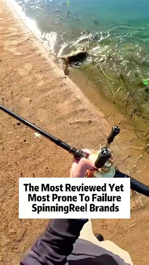 Top Spinning Reel Brands for Trout Fishing Success