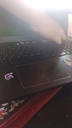 TODAY AND CINE WINDOWS!