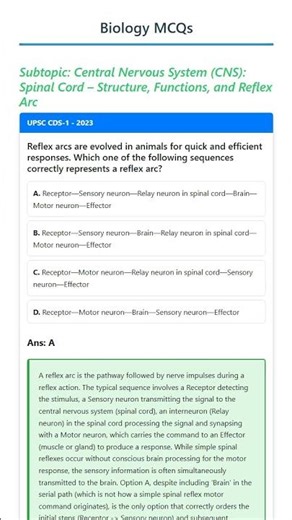 Central Nervous System CNS: Spinal Cord – Structure, Functions, and Reflex Arc