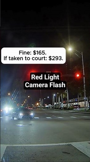 🚦🚔Red Light at Night — Camera Flash + Police