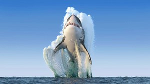 White Shark Leap Live Wallpaper - MoeWalls
