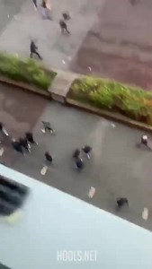 Real Sociedad and Benfica fans clashing before their Champions League match today. | Hools.net