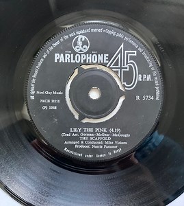 The Scaffold - Lily The Pink