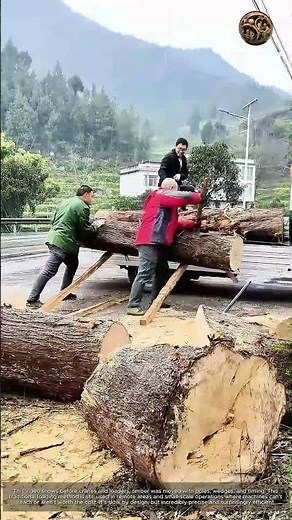 An Effective Method for Loading Heavy Timber: Leveraging Tradition: How Wooden Poles Move Timber