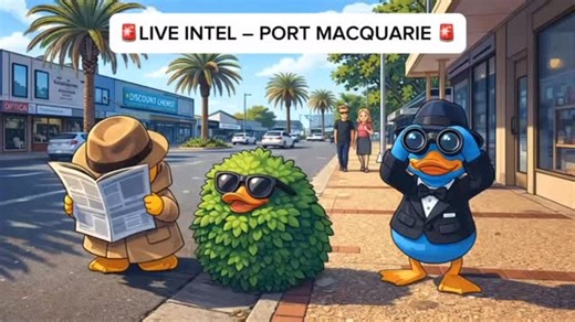 New south wales | @wanderingduckcrescenthead 🚨 NEW TERRITORY WATCH 🚨 For the second day in a row, Wandering Ducks have been sighted in Port Macquarie 👀🦆... | Instagram
