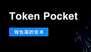 TokenPocket钱包区块链虚拟数字货币私钥助记词碰撞器支持12/24位，全自动循环验证记录到本地文本，不限使用时间，可出源码