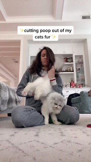 How to Remove Poop from a Cat's Hair