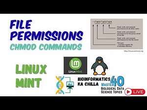 File Permission chmod Commands in Linux Mint | Manage File Access Efficiently