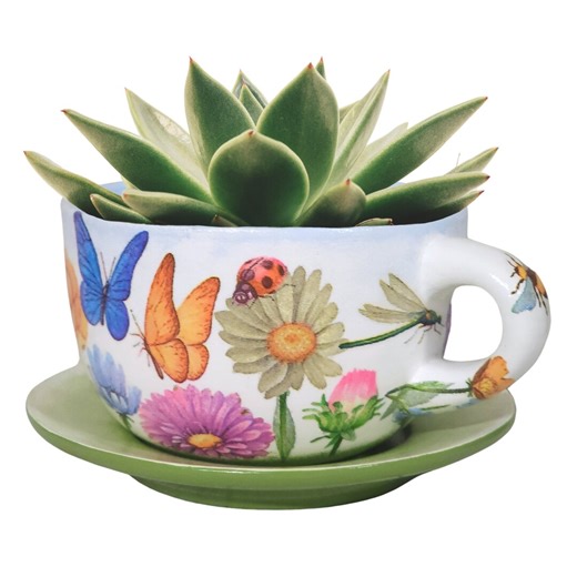 POLLINATOR MEADOW Teacup Planter | Decoupaged, Painted, Sealed | 4.5-inch Ceramic Teacup-pot and Detached Drainage Saucer - Etsy