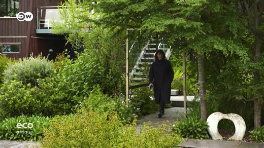 2.9K views · 57 reactions | Tondre le toit : aux îles Féroé, c’est essentiel pour que les toits végétalisés protègent les maisons. Leur pelouse permet d’améliorer notamment la qualité de l’air. #ecoafrique | DW Afrique | Facebook