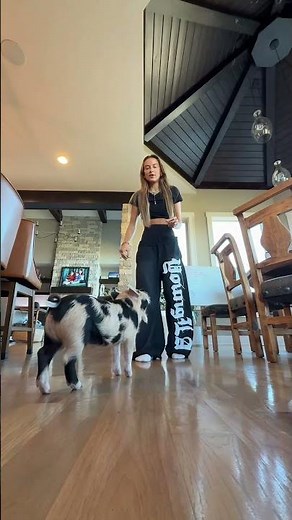 Spatula is serving her tricks w a side of diva