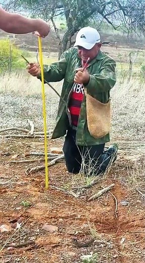 💧 Incredible! Mr. Marcelo's strange method for finding water #wells #shotrs #fyp #diy
