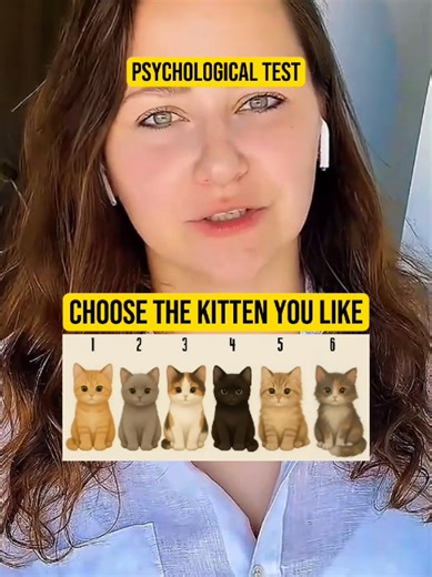 Choose Your Favorite Kitten: A Fun Psychological Test