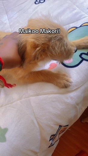 Understanding Intuitive Empaths: An Insight into Empathy