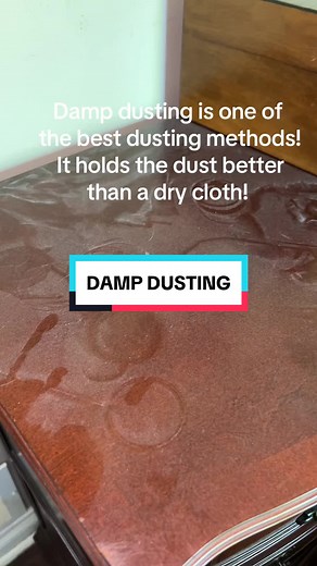Damp Dusting: The Best Way to Dust?