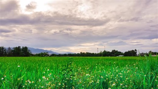 Injection Molding Machine #moldmaking #cncmachine #supplierchina