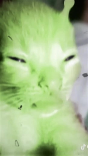 Videos de alien peligroso☣️ (@dylan.daniel.frag) con “sonido original - 💘𝓔𝓵𝓲𝔃𝓪𝓫𝓮𝓽𝓱 💘”