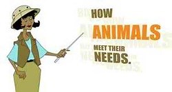 IB Unit - Classification