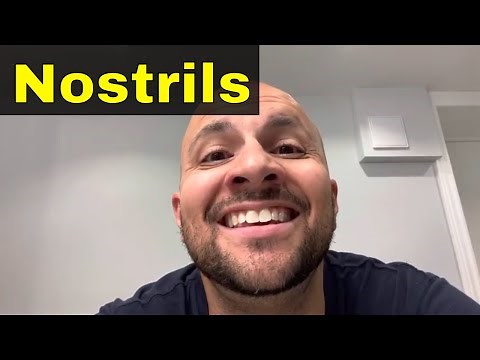 How To Flare Your Nostrils Easily-Tutorial