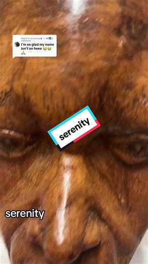 Replying to @𝖘𝖊𝖗𝖊𝖓𝖎𝖙𝖞🕷️🕸️🛸🩻 since you asked…#serenity #guywood #names