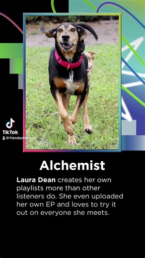 Take a look at Friends of Strays’ 2023 #Wrapped! | Friends of Strays Animal Shelter