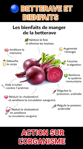 🔵LES BIENFAITS DE LA BETTERAVE ⭐ Un super-aliment à ne pas négliger ! ▪️Souvent sous-estimée, la betterave est pourtant un véritable allié santé naturel Riche en vitamines, minéraux et antioxydants, elle apporte de nombreux bienfaits à notre organisme. 🔸️ Nettoie le foie et élimine les toxines Elle aide le corps à se purifier naturellement. 🔸️ Améliore la mémoire et la concentration Grâce à ses nutriments qui favorisent la circulation sanguine vers le cerveau. 🔸️ Détoxifie l’organisme Idéale