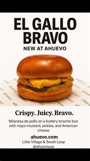 Ahuevo on Instagram: "Chicago. Here it is.. Our new sandwich. El Gallo Bravo.. Ahuevo! It's so JUICY and Delicious.... Chicken breast fillet, mayo , mustard and pickles on our toasted brioche bun... boom 💥 ahuevo.com"
