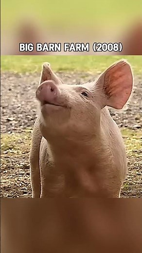 CBeebies shows you’ve forgotten about 📺✨