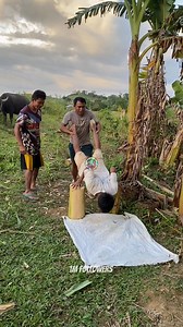 2.7M views · 31K reactions | Push up challenge | Ka Dimple | Facebook