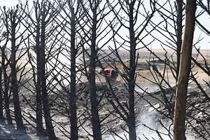 Los Bomberos sofocan un incendio en Margarita de Austria | La Gaceta de Salamanca