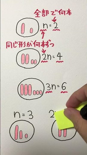nuclear phase【 biology lecture 】