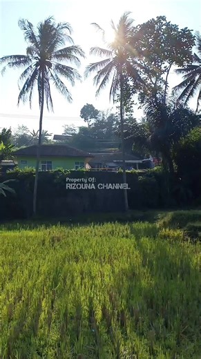 Rizquna_Channel on Instagram: "#rumahmewah"