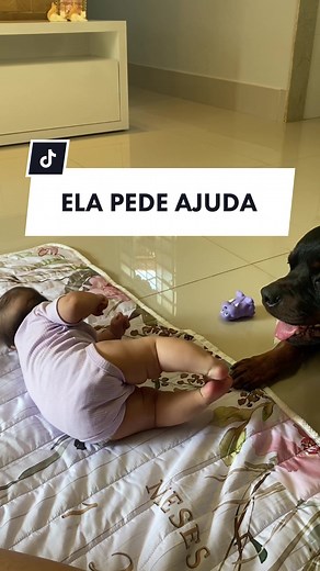 Ajuda com a Rottweiler: Scar e Marcinha em Perigo