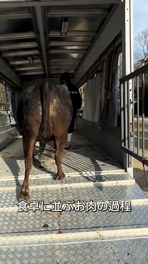 牛3頭の出荷がありました #牛 #畜産 #家畜 #和牛ティーチャー #出荷