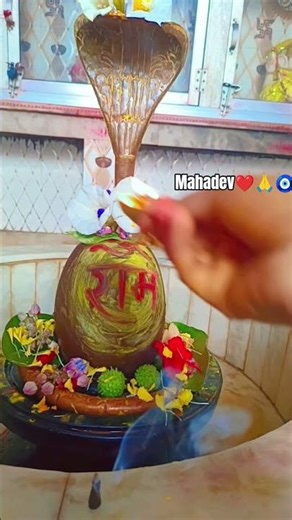 Hey shiv sankar hey shiv shambhu ❤🙏🧿