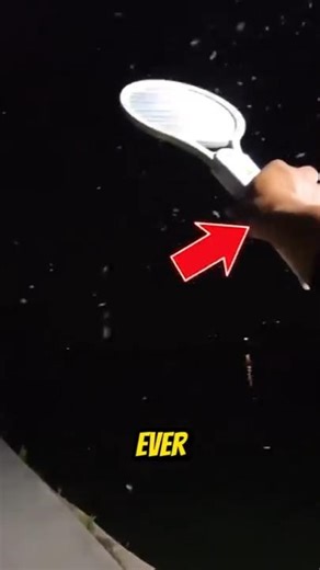 Have You Ever Used A Mosquito Racket?