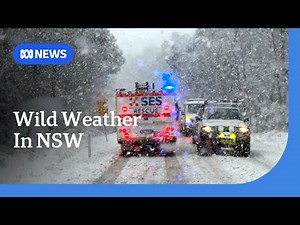 Woman missing in floodwaters as rain and heavy snow lash parts of NSW | ABC NEWS