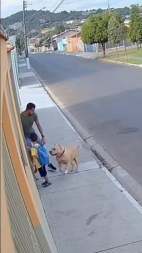 Pitbull runs toward a dad and child… and surprises everyone