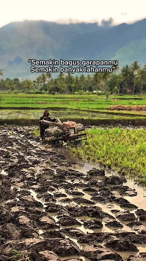 Traktor Sawah: Kumpulan Video Terbaik di TikTok